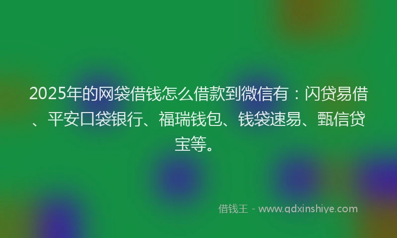2025年的网袋借钱怎么借款到微信有：闪贷易借、平安口袋银行、福瑞钱包、钱袋速易、甄信贷宝等。
