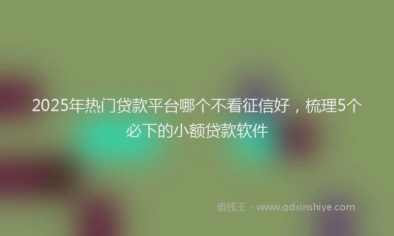 2025年热门贷款平台哪个不看征信好，梳理5个必下的小额贷款软件