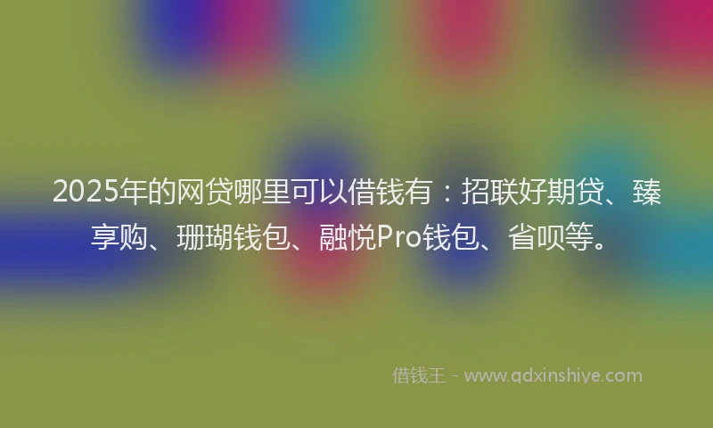 2025年的网贷哪里可以借钱有：招联好期贷、臻享购、珊瑚钱包、融悦Pro钱包、省呗等。