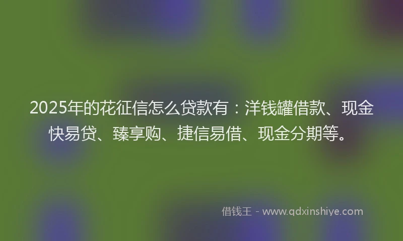 2025年的花征信怎么贷款有：洋钱罐借款、现金快易贷、臻享购、捷信易借、现金分期等。