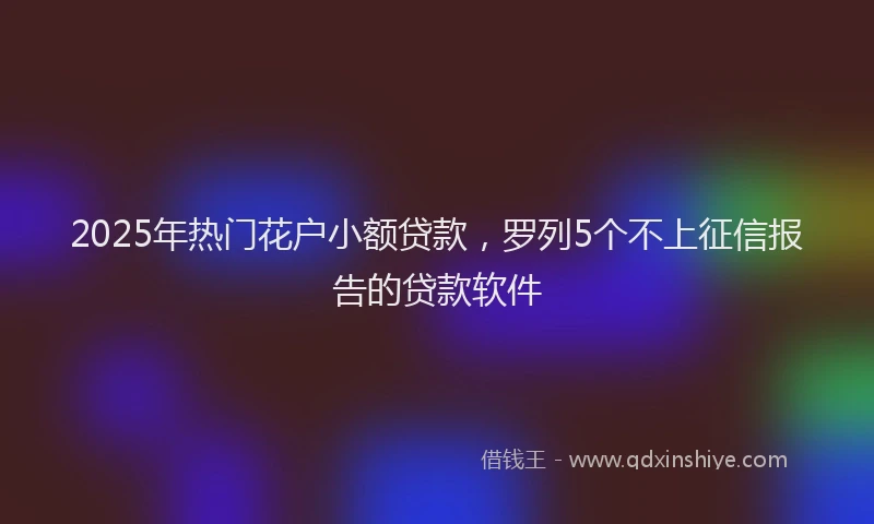 2025年热门花户小额贷款，罗列5个不上征信报告的贷款软件