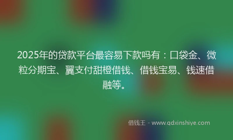 2025年的贷款平台最容易下款吗有：口袋金、微粒分期宝、翼支付甜橙借钱、借钱宝易、钱速借融等。