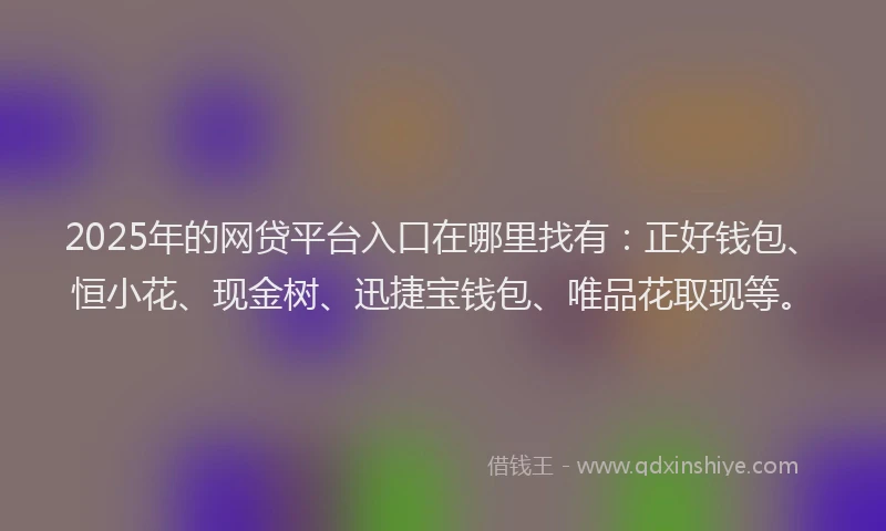 2025年的网贷平台入口在哪里找有：正好钱包、恒小花、现金树、迅捷宝钱包、唯品花取现等。