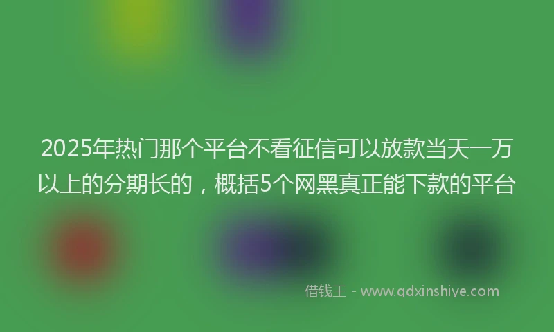 2025年热门那个平台不看征信可以放款当天一万以上的分期长的，概括5个网黑真正能下款的平台