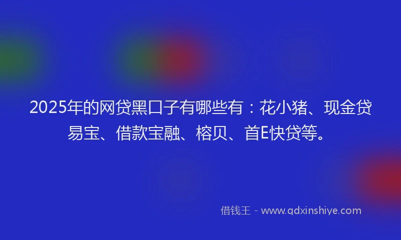2025年的网贷黑口子有哪些有：花小猪、现金贷易宝、借款宝融、榕贝、首E快贷等。