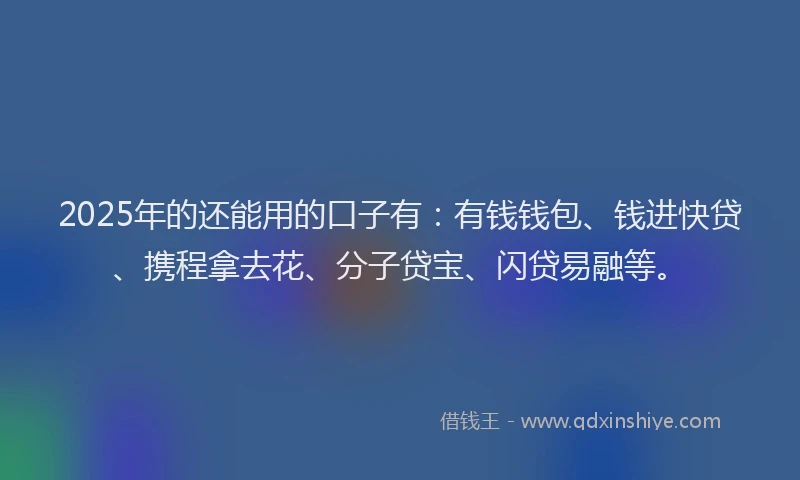 2025年的还能用的口子有：有钱钱包、钱进快贷、携程拿去花、分子贷宝、闪贷易融等。