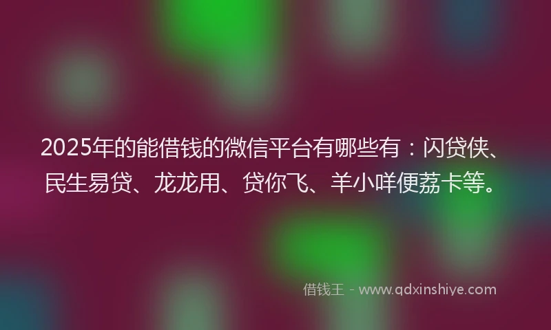 2025年的能借钱的微信平台有哪些有：闪贷侠、民生易贷、龙龙用、贷你飞、羊小咩便荔卡等。