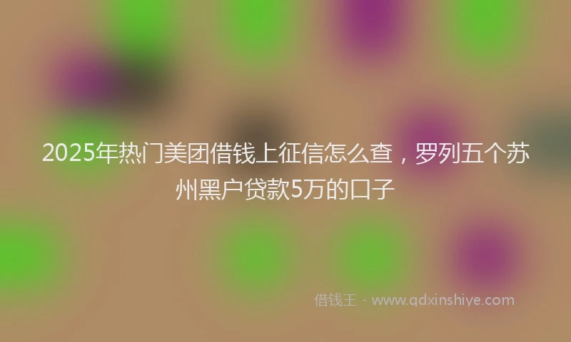 2025年热门美团借钱上征信怎么查，罗列五个苏州黑户贷款5万的口子