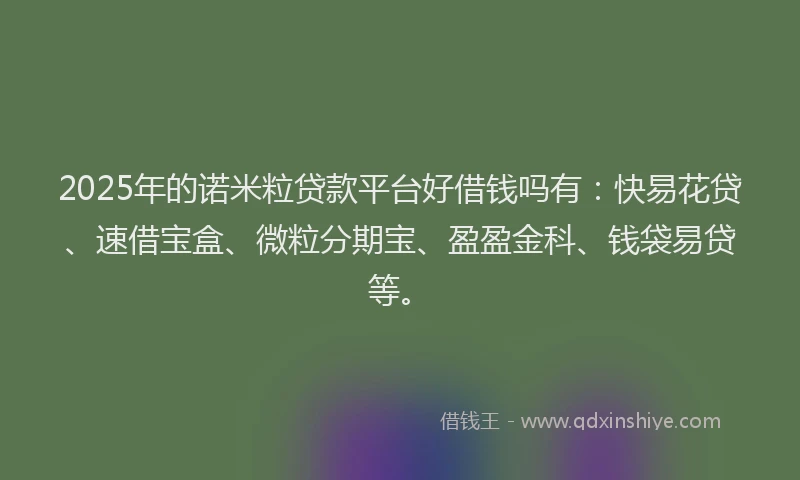 2025年的诺米粒贷款平台好借钱吗有：快易花贷、速借宝盒、微粒分期宝、盈盈金科、钱袋易贷等。