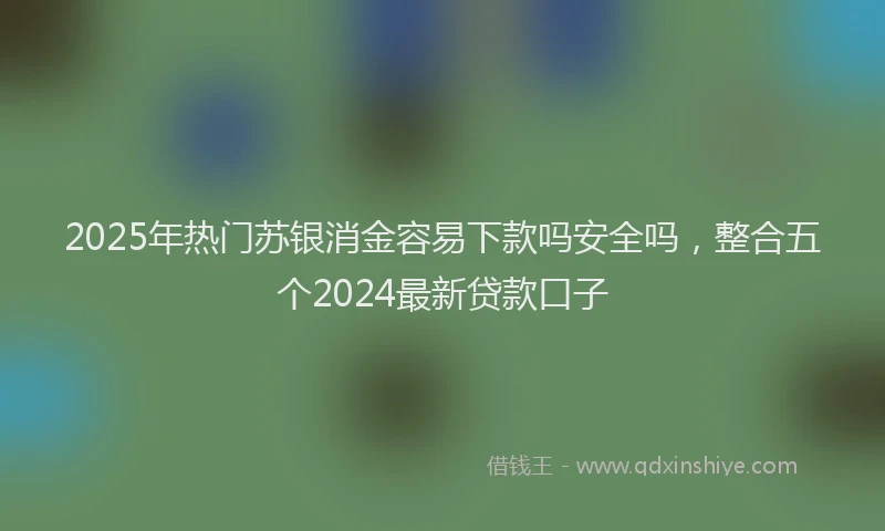 2025年热门苏银消金容易下款吗安全吗，整合五个2024最新贷款口子