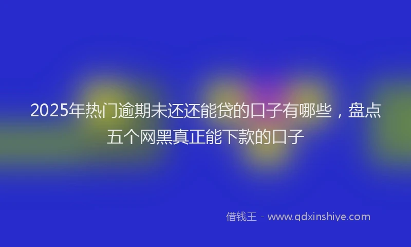 2025年热门逾期未还还能贷的口子有哪些，盘点五个网黑真正能下款的口子