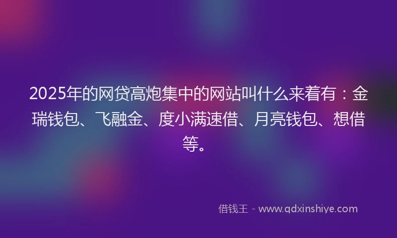 2025年的网贷高炮集中的网站叫什么来着有：金瑞钱包、飞融金、度小满速借、月亮钱包、想借等。