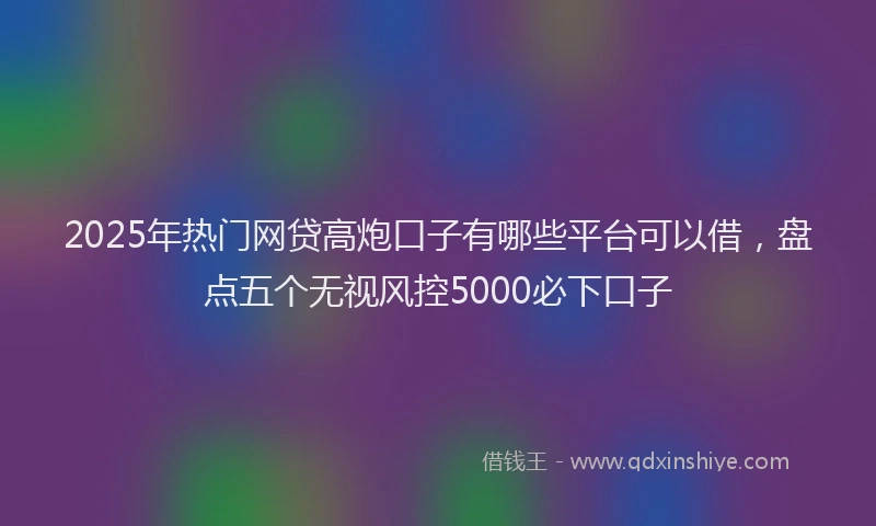 2025年热门网贷高炮口子有哪些平台可以借，盘点五个无视风控5000必下口子