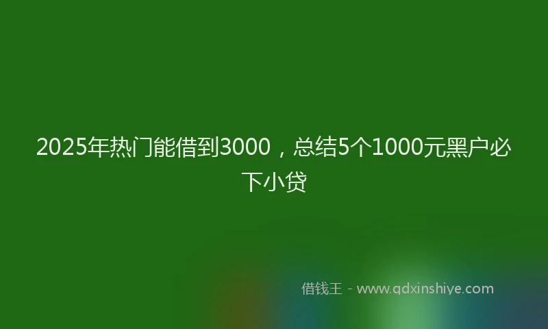 2025年热门能借到3000，总结5个1000元黑户必下小贷