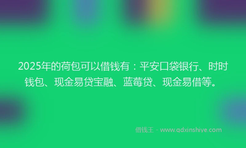 2025年的荷包可以借钱有：平安口袋银行、时时钱包、现金易贷宝融、蓝莓贷、现金易借等。