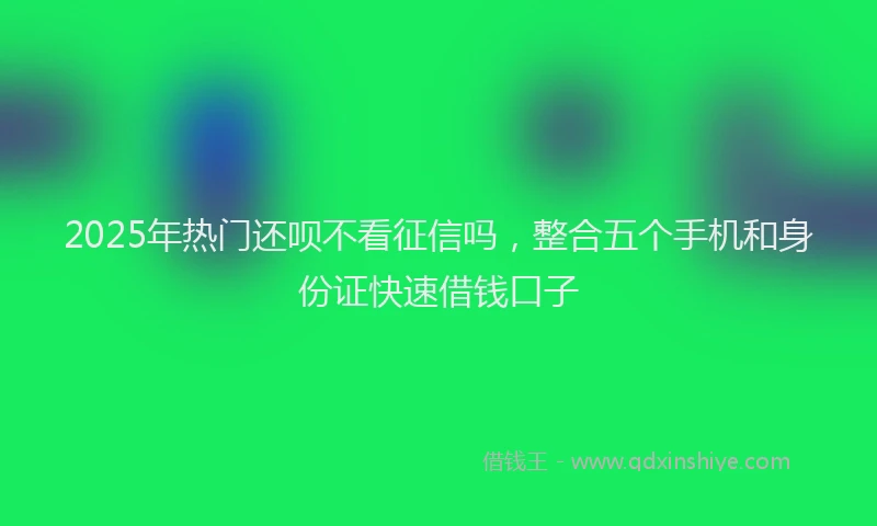 2025年热门还呗不看征信吗，整合五个手机和身份证快速借钱口子