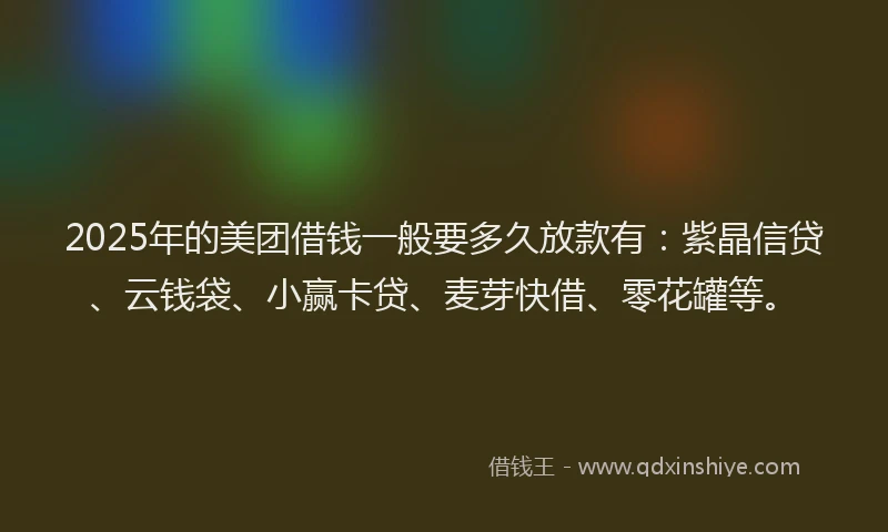 2025年的美团借钱一般要多久放款有：紫晶信贷、云钱袋、小赢卡贷、麦芽快借、零花罐等。