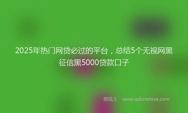 2025年热门网贷必过的平台，总结5个无视网黑征信黑5000贷款口子