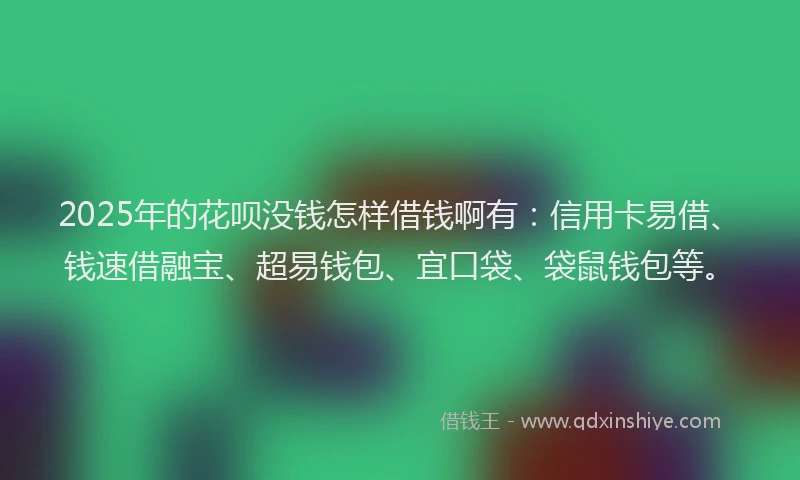 2025年的花呗没钱怎样借钱啊有：信用卡易借、钱速借融宝、超易钱包、宜口袋、袋鼠钱包等。