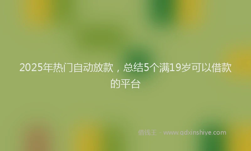 2025年热门自动放款，总结5个满19岁可以借款的平台