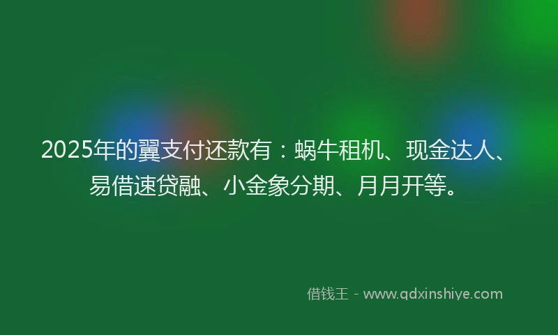 2025年的翼支付还款有：蜗牛租机、现金达人、易借速贷融、小金象分期、月月开等。