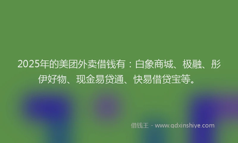 2025年的美团外卖借钱有：白象商城、极融、彤伊好物、现金易贷通、快易借贷宝等。