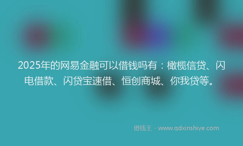 2025年的网易金融可以借钱吗有：橄榄信贷、闪电借款、闪贷宝速借、恒创商城、你我贷等。