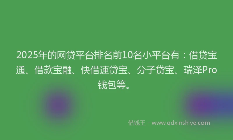 2025年的网贷平台排名前10名小平台有：借贷宝通、借款宝融、快借速贷宝、分子贷宝、瑞泽Pro钱包等。