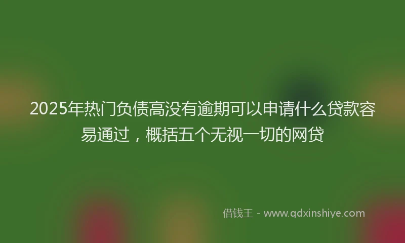 2025年热门负债高没有逾期可以申请什么贷款容易通过，概括五个无视一切的网贷