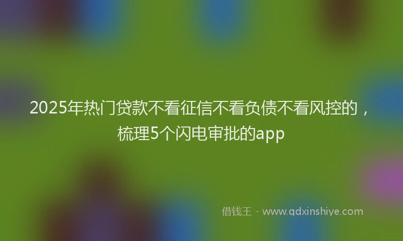 2025年热门贷款不看征信不看负债不看风控的，梳理5个闪电审批的app