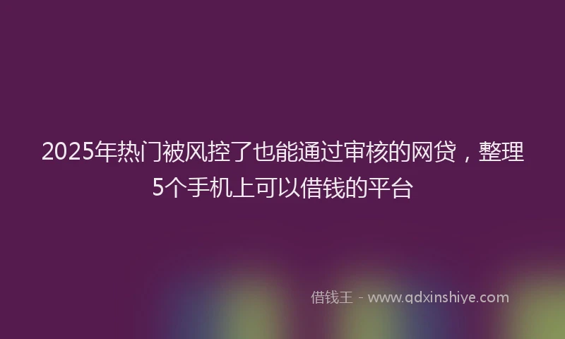 2025年热门被风控了也能通过审核的网贷，整理5个手机上可以借钱的平台