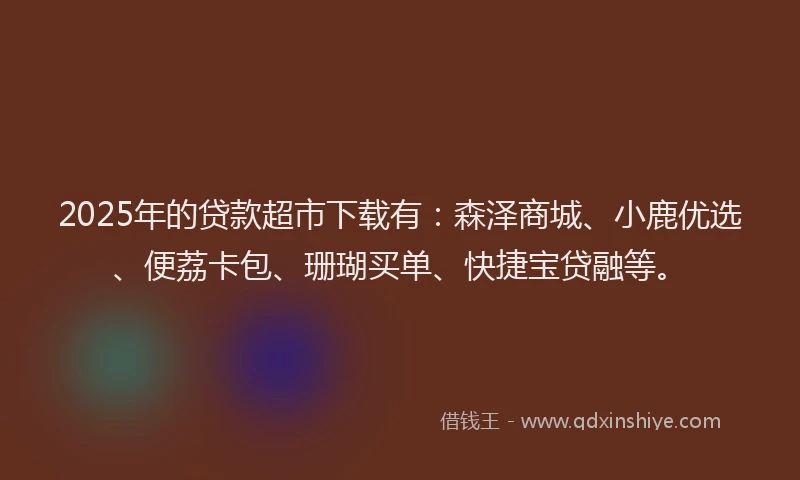 2025年的贷款超市下载有：森泽商城、小鹿优选、便荔卡包、珊瑚买单、快捷宝贷融等。