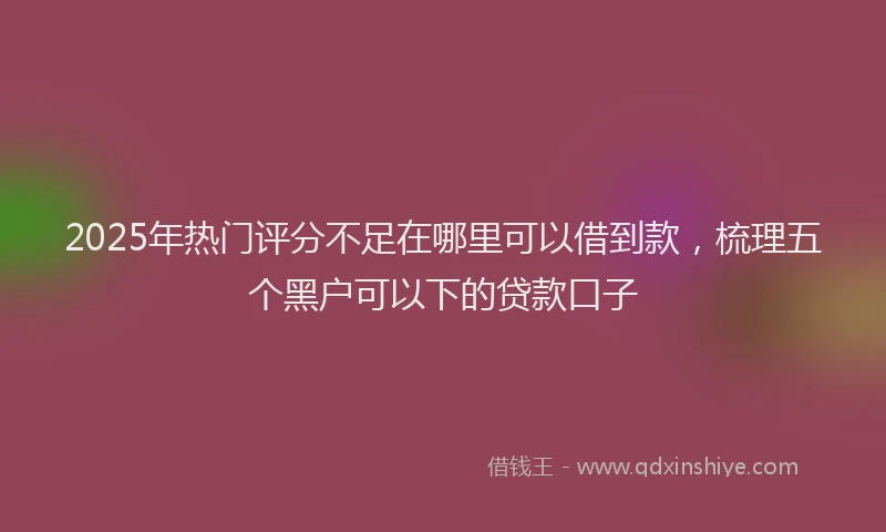 2025年热门评分不足在哪里可以借到款，梳理五个黑户可以下的贷款口子