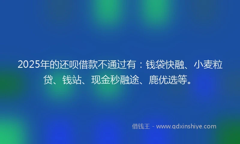 2025年的还呗借款不通过有：钱袋快融、小麦粒贷、钱站、现金秒融途、鹿优选等。