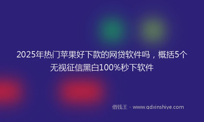 2025年热门苹果好下款的网贷软件吗，概括5个无视征信黑白100%秒下软件