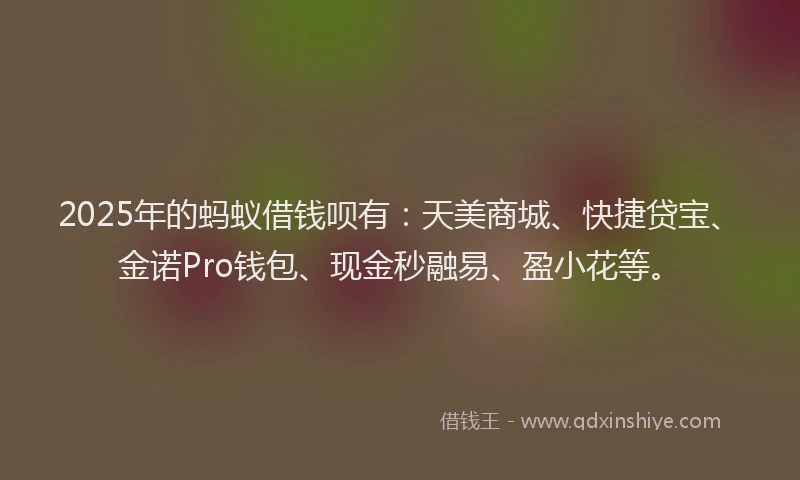 2025年的蚂蚁借钱呗有：天美商城、快捷贷宝、金诺Pro钱包、现金秒融易、盈小花等。
