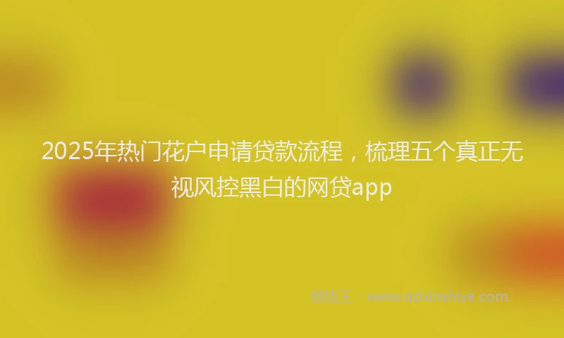 2025年热门花户申请贷款流程，梳理五个真正无视风控黑白的网贷app