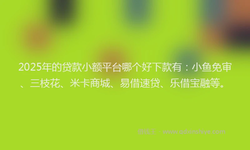 2025年的贷款小额平台哪个好下款有：小鱼免审、三枝花、米卡商城、易借速贷、乐借宝融等。