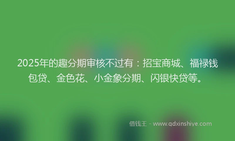 2025年的趣分期审核不过有：招宝商城、福禄钱包贷、金色花、小金象分期、闪银快贷等。