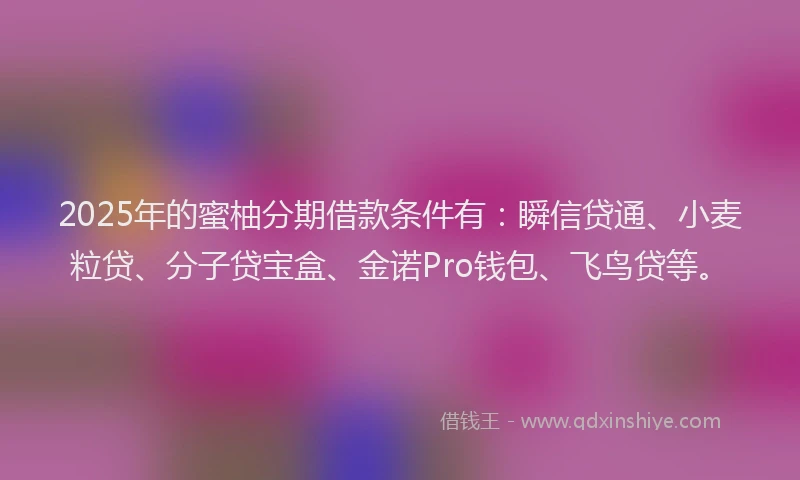 2025年的蜜柚分期借款条件有：瞬信贷通、小麦粒贷、分子贷宝盒、金诺Pro钱包、飞鸟贷等。