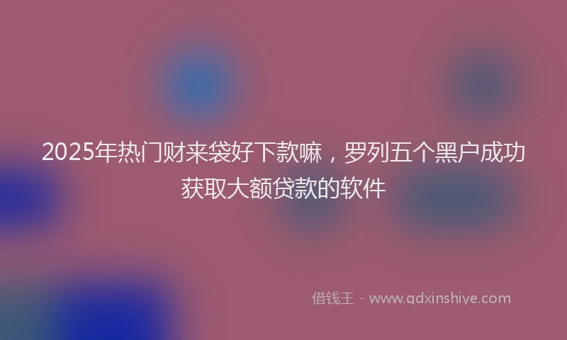 2025年热门财来袋好下款嘛，罗列五个黑户成功获取大额贷款的软件