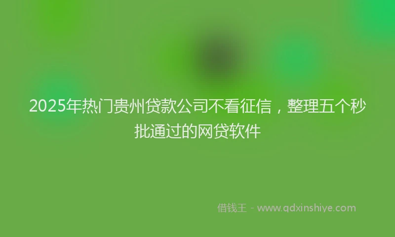 2025年热门贵州贷款公司不看征信，整理五个秒批通过的网贷软件