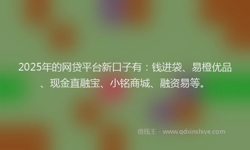 2025年的网贷平台新口子有：钱进袋、易橙优品、现金直融宝、小铭商城、融资易等。