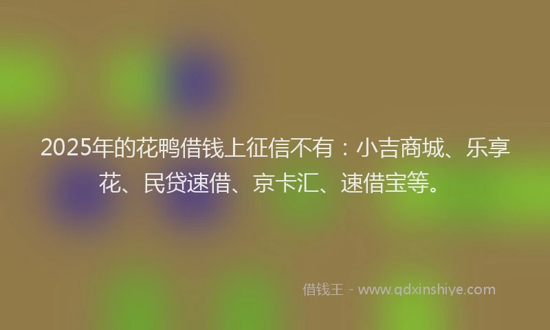 2025年的花鸭借钱上征信不有：小吉商城、乐享花、民贷速借、京卡汇、速借宝等。
