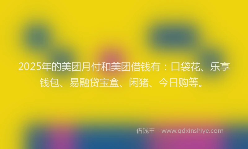 2025年的美团月付和美团借钱有：口袋花、乐享钱包、易融贷宝盒、闲猪、今日购等。