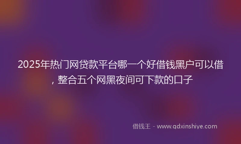 2025年热门网贷款平台哪一个好借钱黑户可以借，整合五个网黑夜间可下款的口子