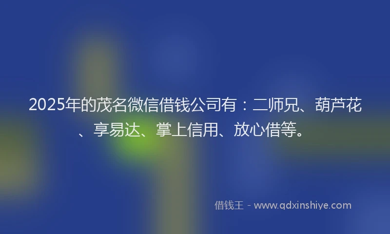 2025年的茂名微信借钱公司有：二师兄、葫芦花、享易达、掌上信用、放心借等。