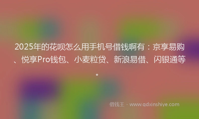 2025年的花呗怎么用手机号借钱啊有：京享易购、悦享Pro钱包、小麦粒贷、新浪易借、闪银通等。