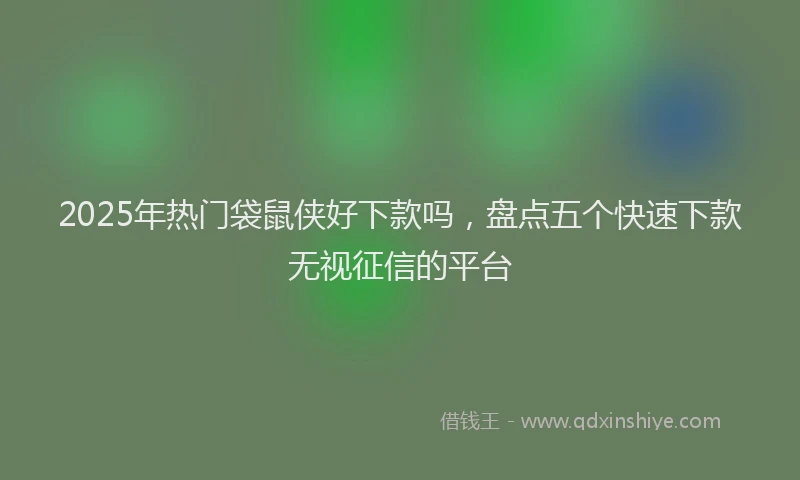 2025年热门袋鼠侠好下款吗，盘点五个快速下款无视征信的平台