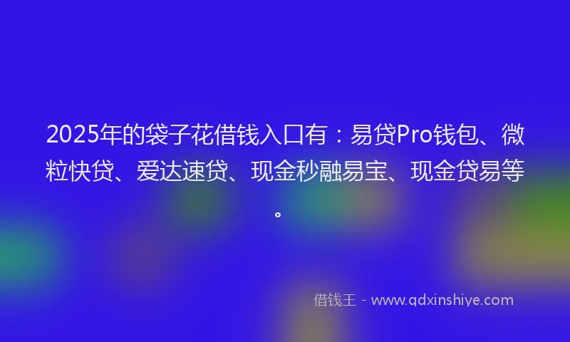 2025年的袋子花借钱入口有：易贷Pro钱包、微粒快贷、爱达速贷、现金秒融易宝、现金贷易等。